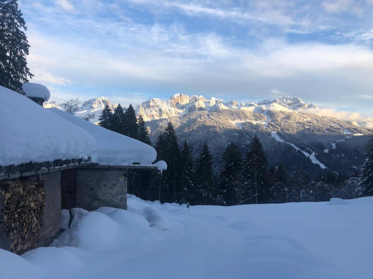 Casa Salvaterra Affittacamere Pinzolo Eksteriør billede