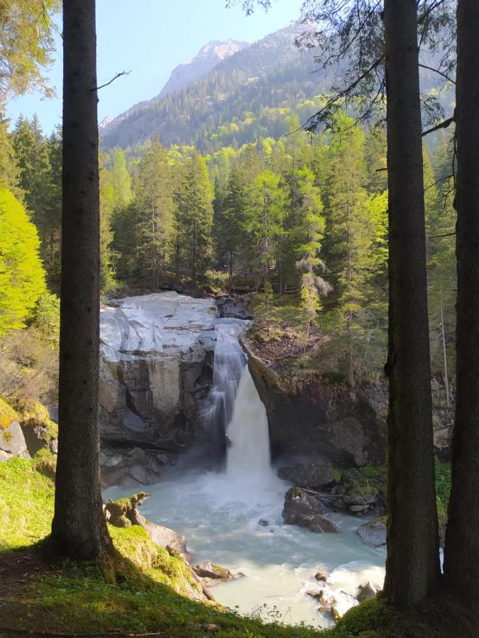 Casa Salvaterra Affittacamere Pinzolo Eksteriør billede