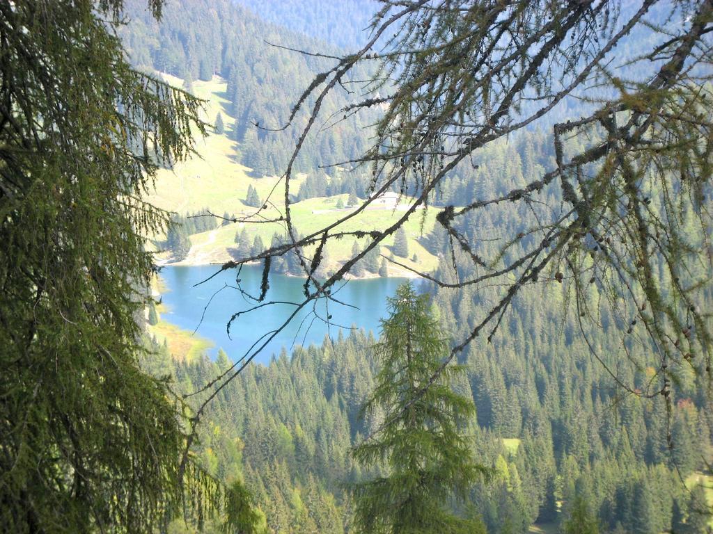 Casa Salvaterra Affittacamere Pinzolo Eksteriør billede